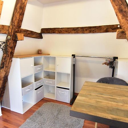 Le Duplex Carnot Leilighet Annecy Eksteriør bilde